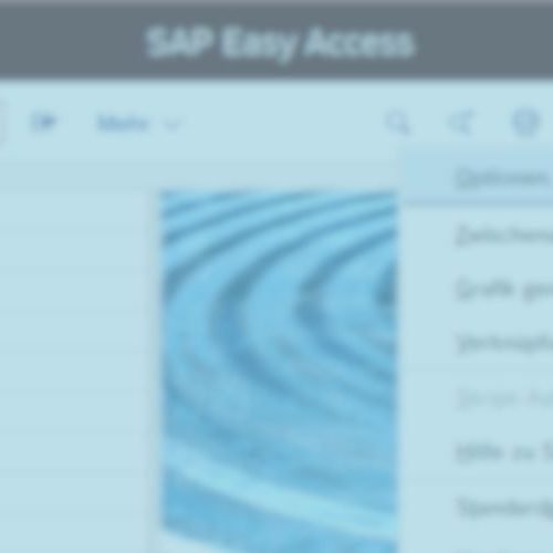 Header Bilder-9 SAP GUI Farben anpassen - Toenjes Consulting GmbH